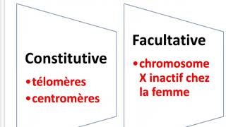 La chromatine [upl. by Haze848]