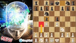 Evans Gambit on The Highest Level  AlphaZero vs Stockfish [upl. by Rothmuller82]