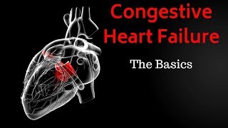 Congestive Heart Failure CHF  Basics Overview [upl. by Hplodur]