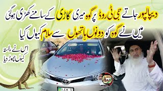 Allama Hafiz Khadim Hussain Rizvi  Dipalpur Jate Goh Meri Car Ke samne A gai  Goh Ko Salam HD [upl. by Timmy]