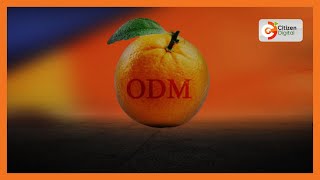 ODM condemns cases of abductions police brutality [upl. by Hadsall244]