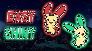 FASTEST Way To Get SHINY MINUN And PLUSLE In Pokemon Scarlet And Violet DLC [upl. by Roley]