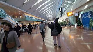 A 🚶 tour of Tokyo Haneda Airport Terminal 2 [upl. by Stieglitz]