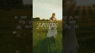 🌾Sha la la  Song lyrics in tamil🌾 tamilsong ghilli trending [upl. by Halima]