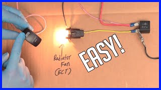 How to Wire a Relay  Full Tutorial [upl. by Mitman279]