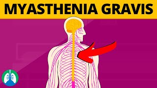 Myasthenia Gravis and LEMS  CRASH Medical Review Series [upl. by Honeyman]