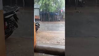 ghama gham barish rain short youtubeshorts jagannath puri [upl. by Earahc272]