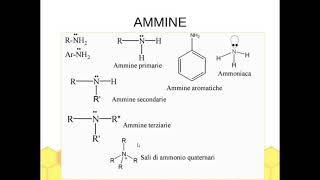 Gruppi funzionali e nomenclatura di ESTERI e AMMINE [upl. by Eulalie]