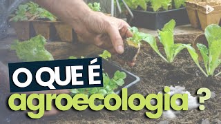 O QUE É AGROECOLOGIA [upl. by Adnawyek334]