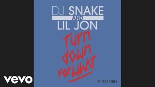 DJ Snake Lil Jon  Turn Down for What Audio [upl. by Hesper]