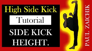 SIDE KICK TUTORIAL Training High Kick Side Kick Powerful Fast Side Roundhouse and Hook Kick [upl. by Cindie]