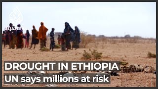 Millions at risk as drought threatens eastern Ethiopia warns UN [upl. by Wilfreda]