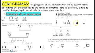 SIMBOLOGÍA DE LOS GENOGRAMAS [upl. by Ilysa121]