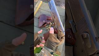 Tokarev TT vs Radom VIS 35 [upl. by Cynthia]