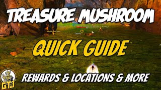 GW2 Treasure Mushroom Quick Guide [upl. by Nimesay]