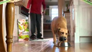 TV Spot  Purina  Beneful Healthy Weight  Time to Play [upl. by Melanie]