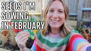 SEEDS IM SOWING IN FEBRUARY 2024  ALLOTMENT GARDENING FOR BEGINNERS [upl. by Euh]