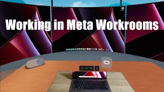 Working in VR with Meta Workrooms [upl. by Leinehtan]