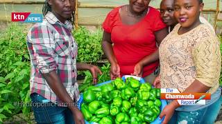 The Chamwada Report Hydroponic Farming in Kenya [upl. by Theurich]