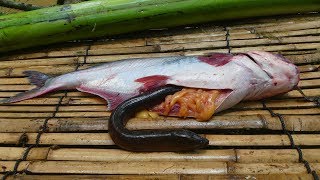 Wow Unbelievable Eel In Big Fish  Cooking Eels in Banana Tree For Lunch [upl. by Cheyne]