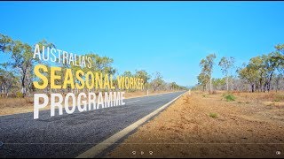 Australias Seasonal Worker Programme [upl. by Ennayar]