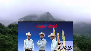 Trío Alazán Huasteco🎻📀 Completo Sueño Real [upl. by Naawaj]