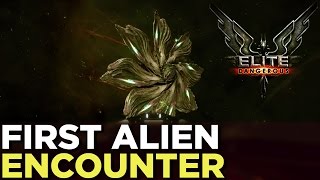 Elite Dangerous FIRST ALIEN CONTACT — Dr Kaii Talks About His Experience [upl. by Atineb301]