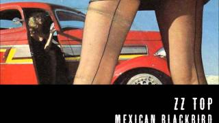 Mexican Blackbird · ZZ Top · Fandango 1975 [upl. by Richer125]