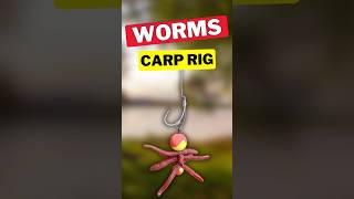 Use Worms on Your Carp Rig Catch More Carp with Worms [upl. by Ignacius]