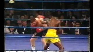 Steve Collins vs Chris Eubank I 1995 full fight [upl. by Anana365]