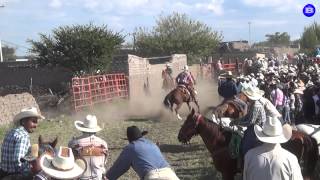 Gran coleadera en La Soledad Canatlan Dgo Mex 5 oct 14 [upl. by Garber]