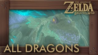 Zelda Breath of the Wild  All Dragon Locations amp Shrine Quests [upl. by Sherris]