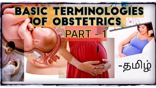 Basic terminologies of Obstetrics Part1 தமிழ் Tamil [upl. by Charbonneau]