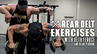 Rear Delt Exercises with Seth Feroce [upl. by Ingar]