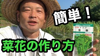 初心者におすすめ冬野菜【菜花】の作り方 [upl. by Hgielac]