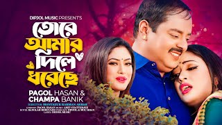 Tore Amar Dile Dhairache  তোরে আমার দিলে ধরেছে  Dipjol  Mou  Pagol Hasan  Bangla Song 2024 [upl. by Bunder]