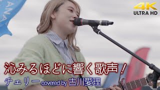 【 歌うま 】沁みるほどに響く歌声！ チェリー  スピッッツ（covered by 古川愛理）横須賀野外ライブ（ ANAウインドサーフィンワールドカップ ）🎧推奨 高音質 4K映像 [upl. by Glovsky]