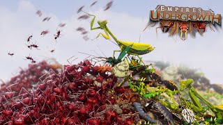 BUG EAT BUG WORLD  Empires Of The Undergrowth  Ep25 [upl. by Parrie]