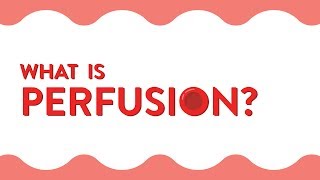 What Is Perfusion [upl. by Erehs]