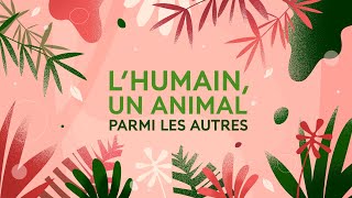 Lhumain un animal parmi les autres  Websérie quotHumains et autres animauxquot [upl. by Damalus489]