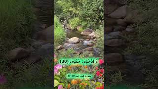 Surah Al Fajr  Ayat 27  30 [upl. by Nalro]