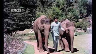 Dhak Dhak Kaise Chalti Hai Video Song  Haathi mere saathi [upl. by Ennayllek]