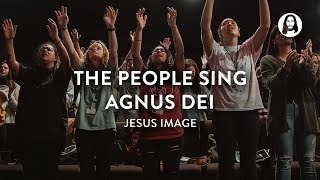 Agnus Dei  Jesus Image [upl. by Norrej]