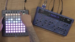 Novation  Control Classic Synths [upl. by Iht]