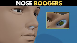 What Are Nose Boogers  Function Of Boogers In Nose [upl. by Domella269]