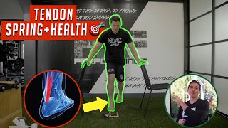 Exercise Progressions for Healthy and Springy Tendons Durability Code 🔑 [upl. by Joyce]