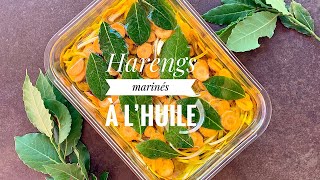 Harengs marinés de Louis [upl. by Amehsat464]