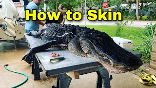 How to Skin and Debone an Alligator how to clean a Gator [upl. by Bevon]