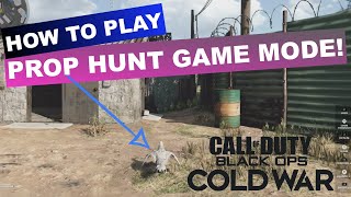 Prop Hunt Explained COD Black Ops Cold War Season One [upl. by Other]