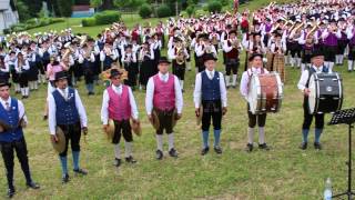 Hoamatland  OÖ Hymne  Gesamtspiel beim Musikfest Moosdorf 2015 [upl. by Solhcin]